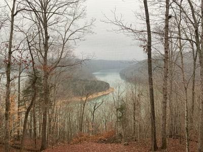 A view of a lake from a trail in the woods.