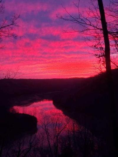 A pink sunset over a lake in the woods.