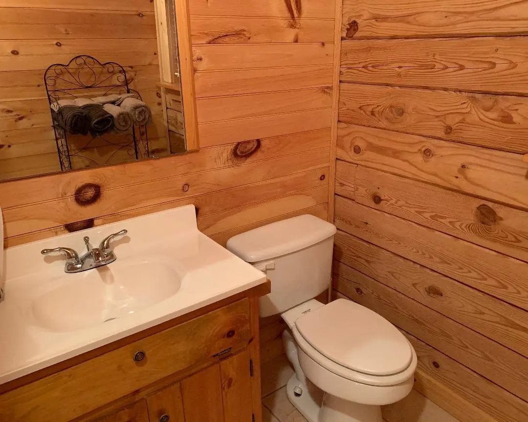 A bathroom with a toilet and a sink.