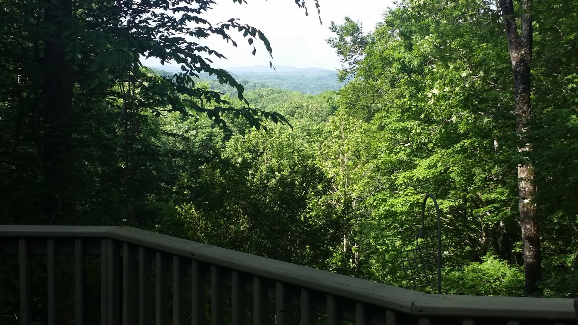 A view from a deck overlooking a wooded area.