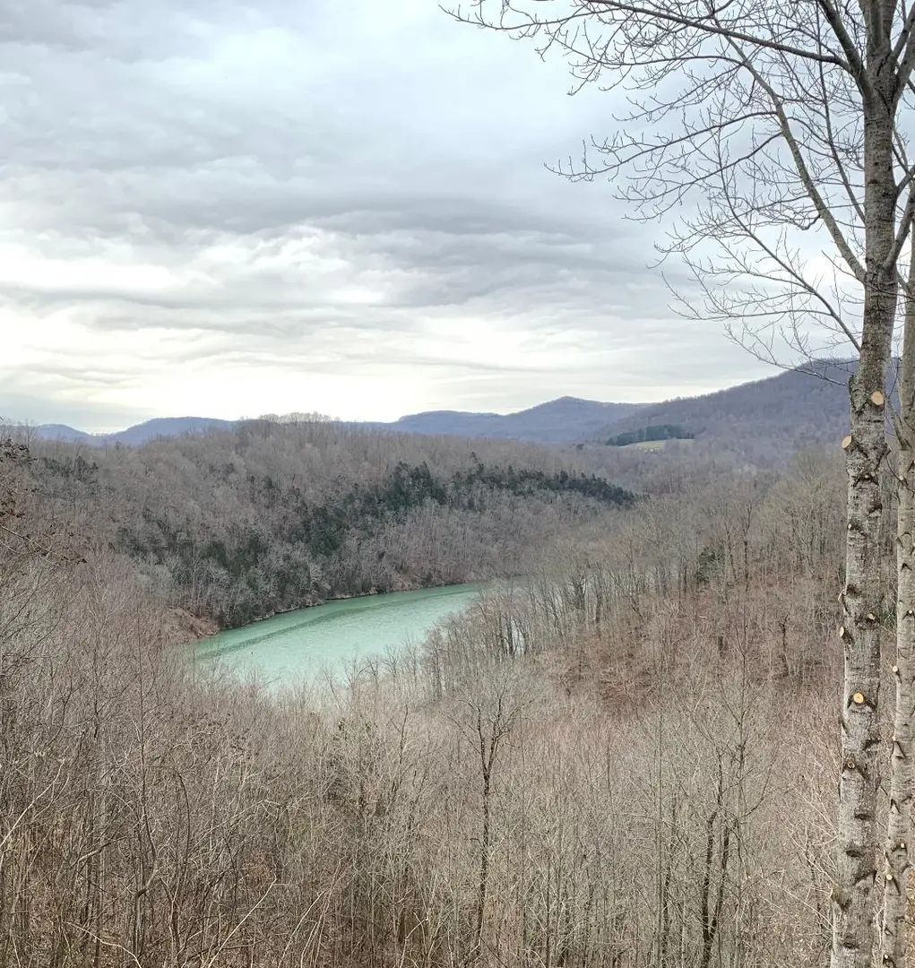 A view of a lake in a wooded area.