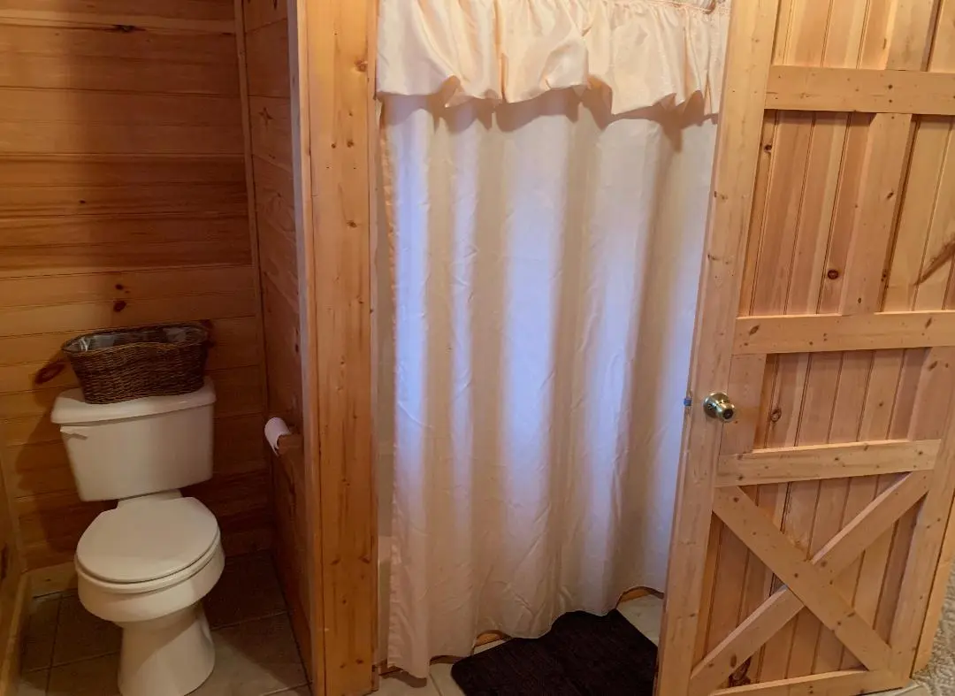 A bathroom with a toilet and shower curtain.