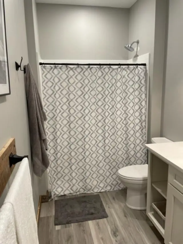 A bathroom with a shower curtain and toilet.