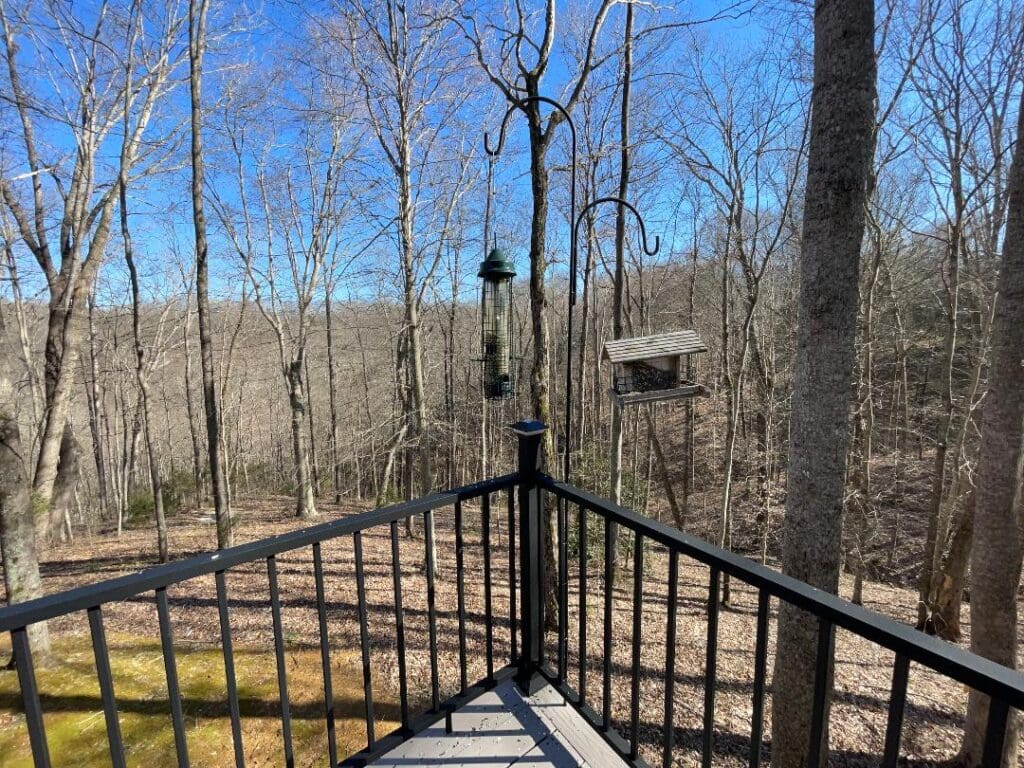 A deck with a bird feeder in the woods.