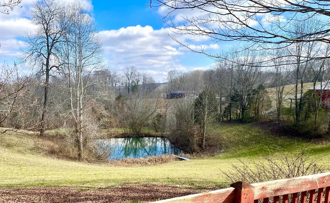 Scenic view of a rural landscape with a small pond, bare trees, and a red building in the distance.